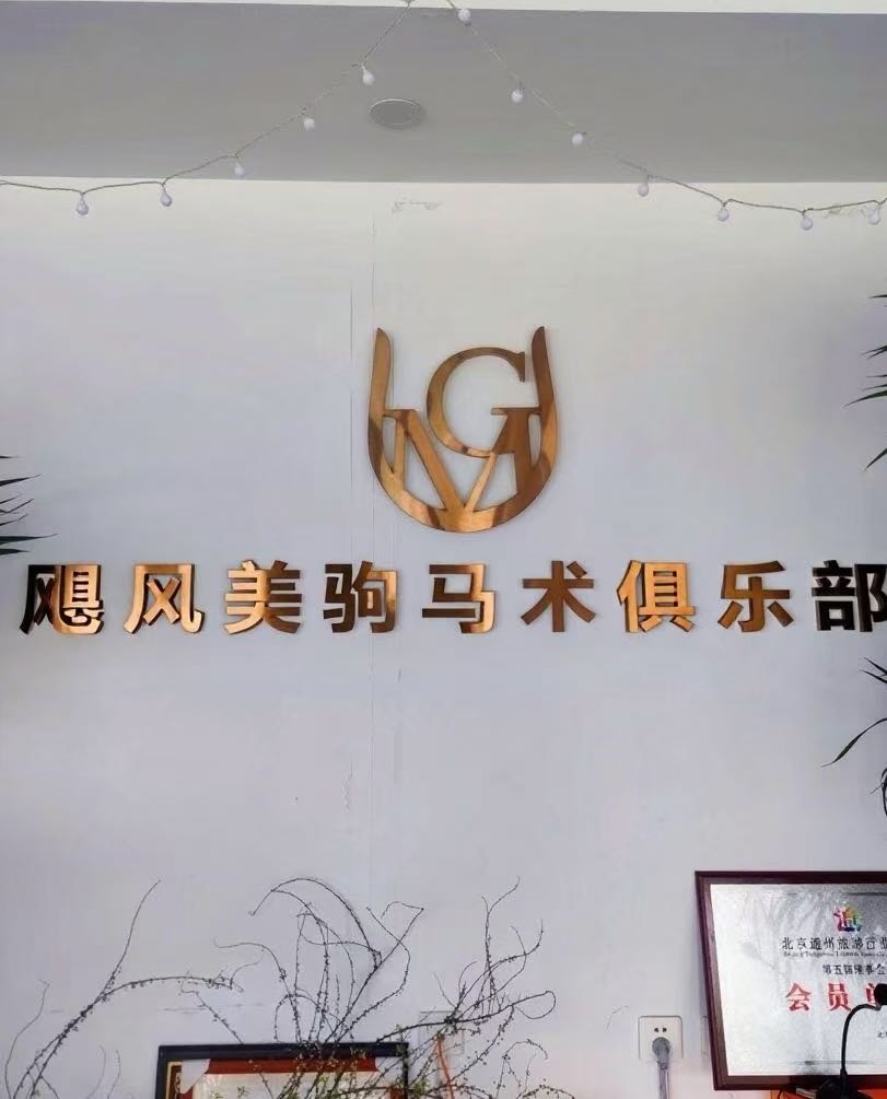 飓风美驹马术俱乐部