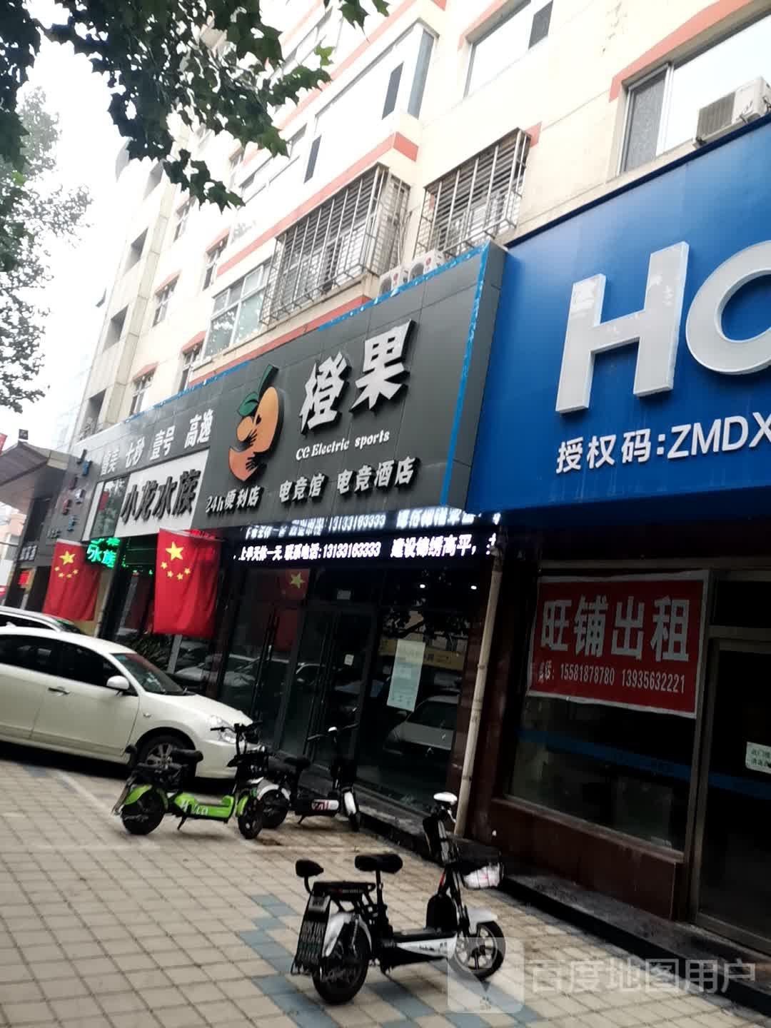小龙镇族馆(水族器材鱼缸观赏鱼)