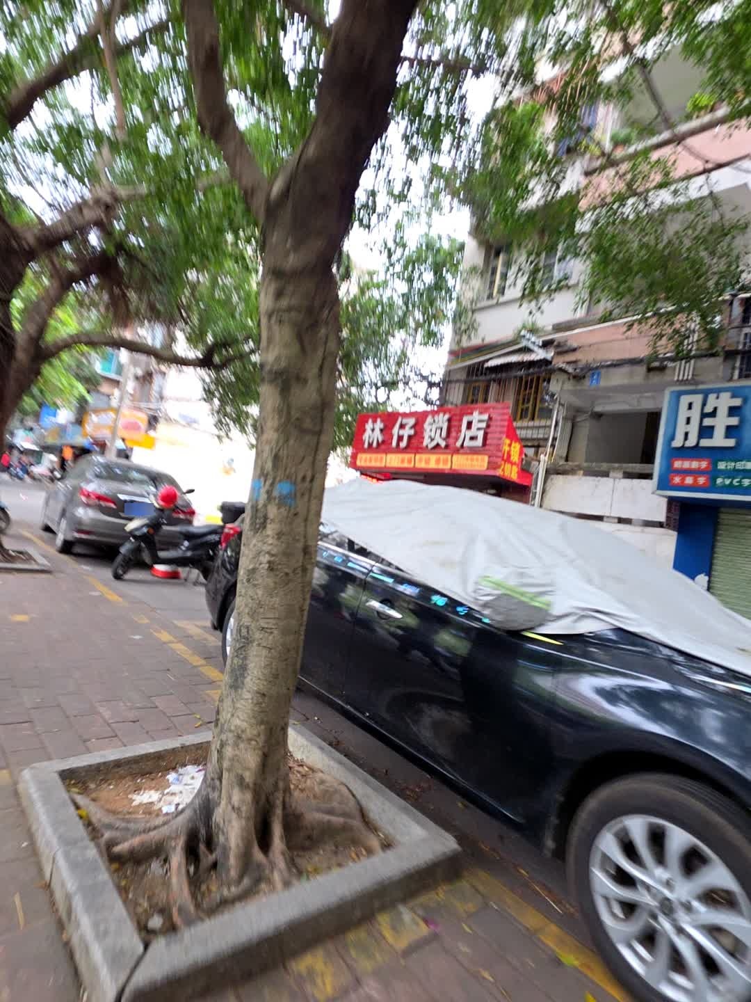 林仔锁店