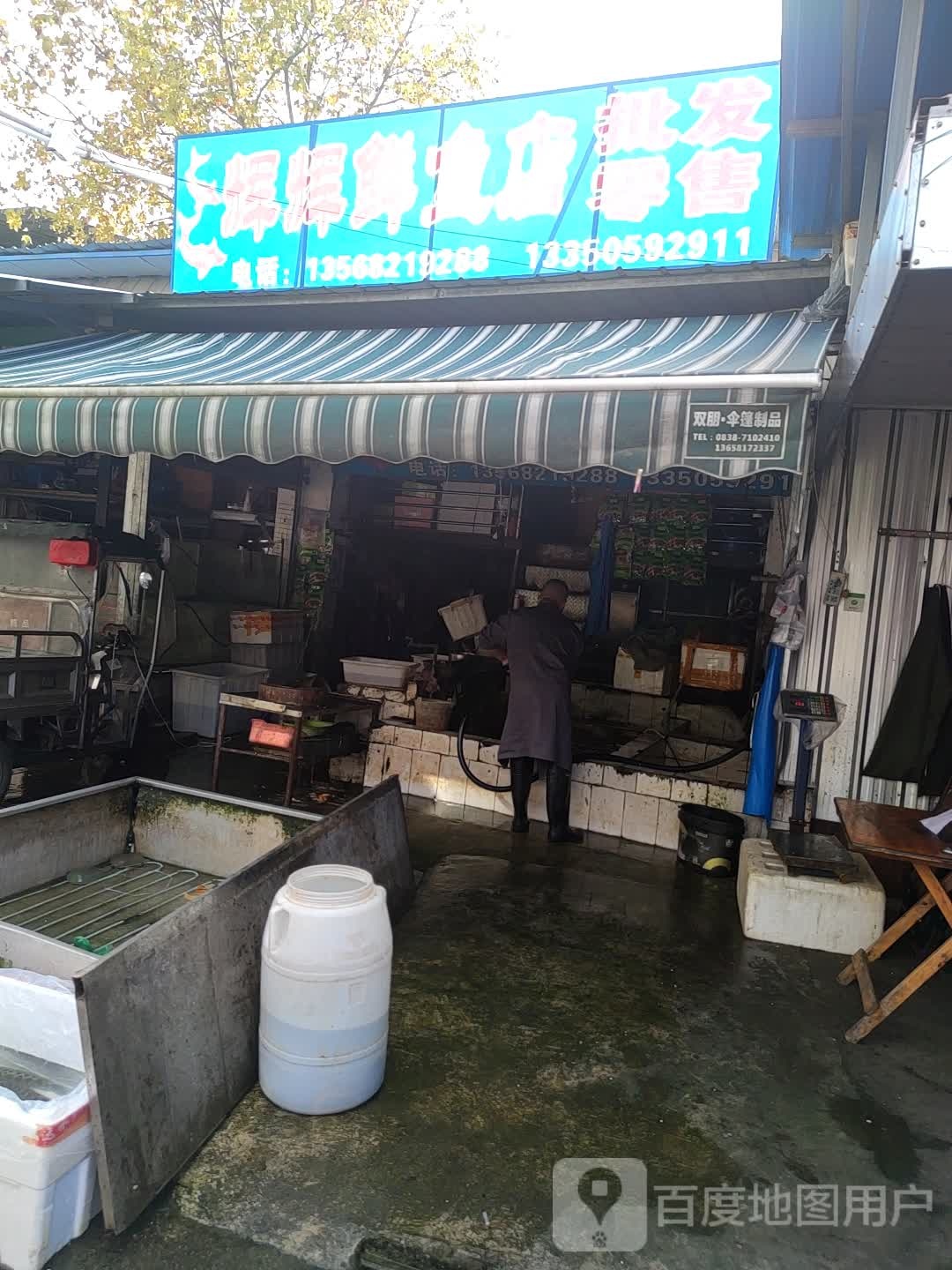 辉辉鲜鱼店批fa零售