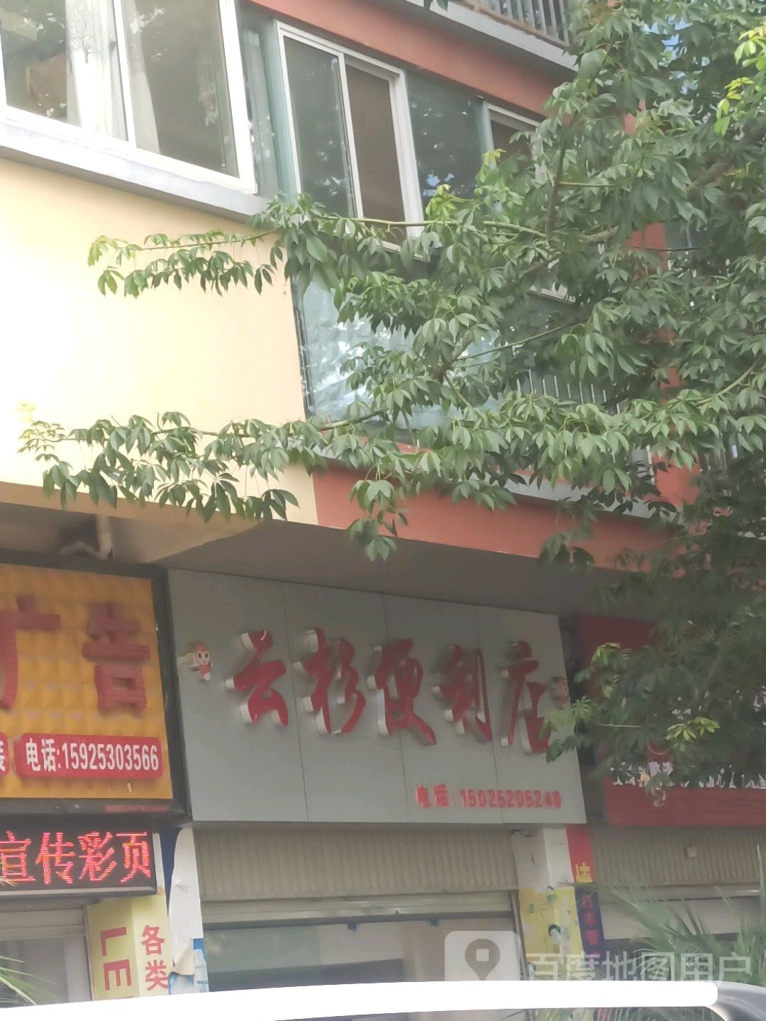 云杉便利店