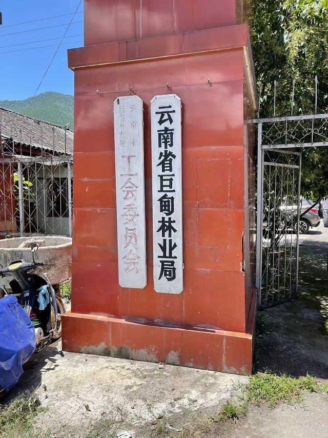 云南省巨甸林业局