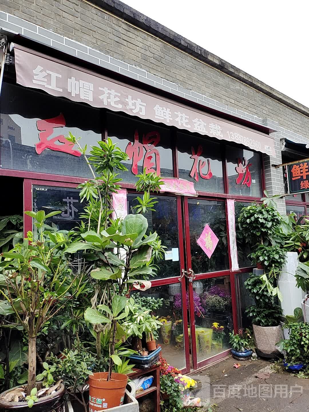 红毛花坊