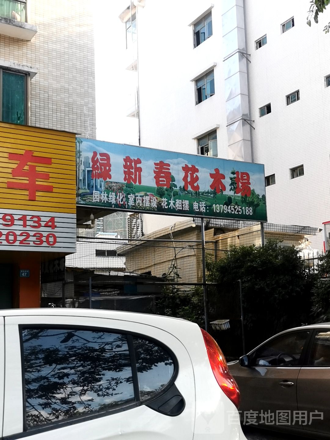 绿新春花木场