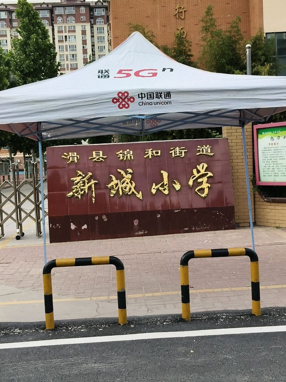 新城小学