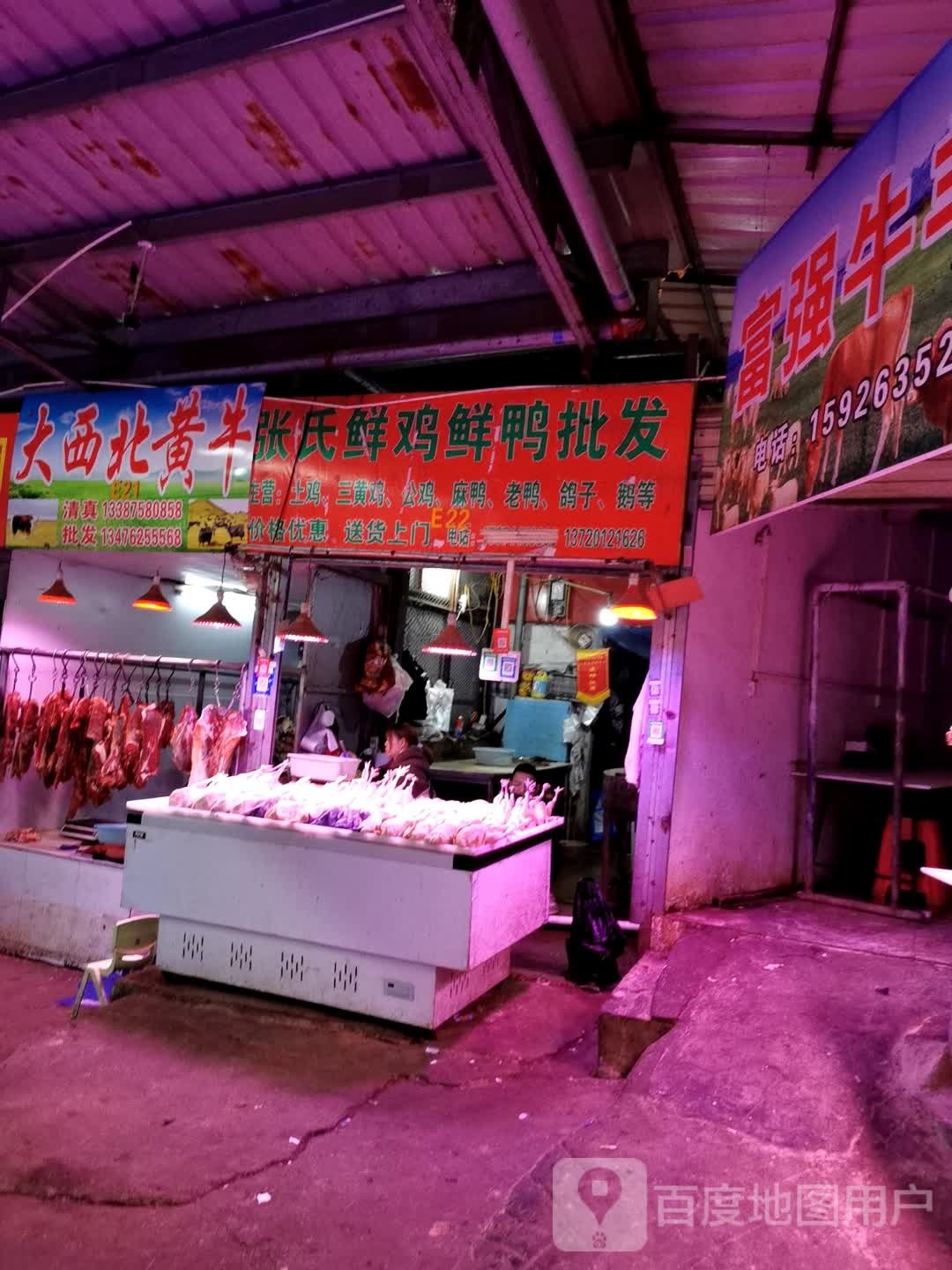 清真大西北黄牛