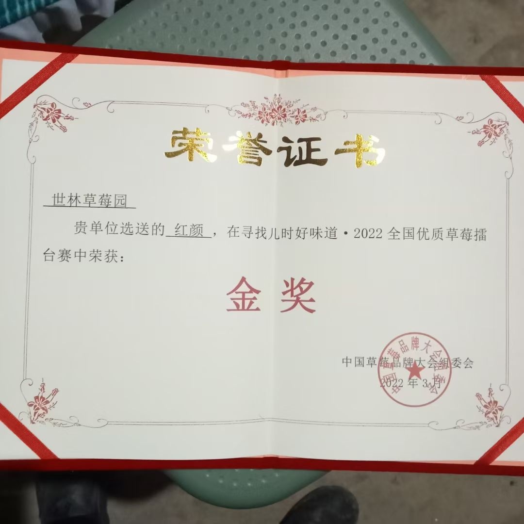 贵阳市花溪区世林草莓园