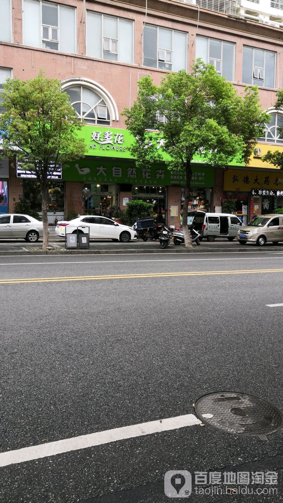 花好鲜大自然花卉
