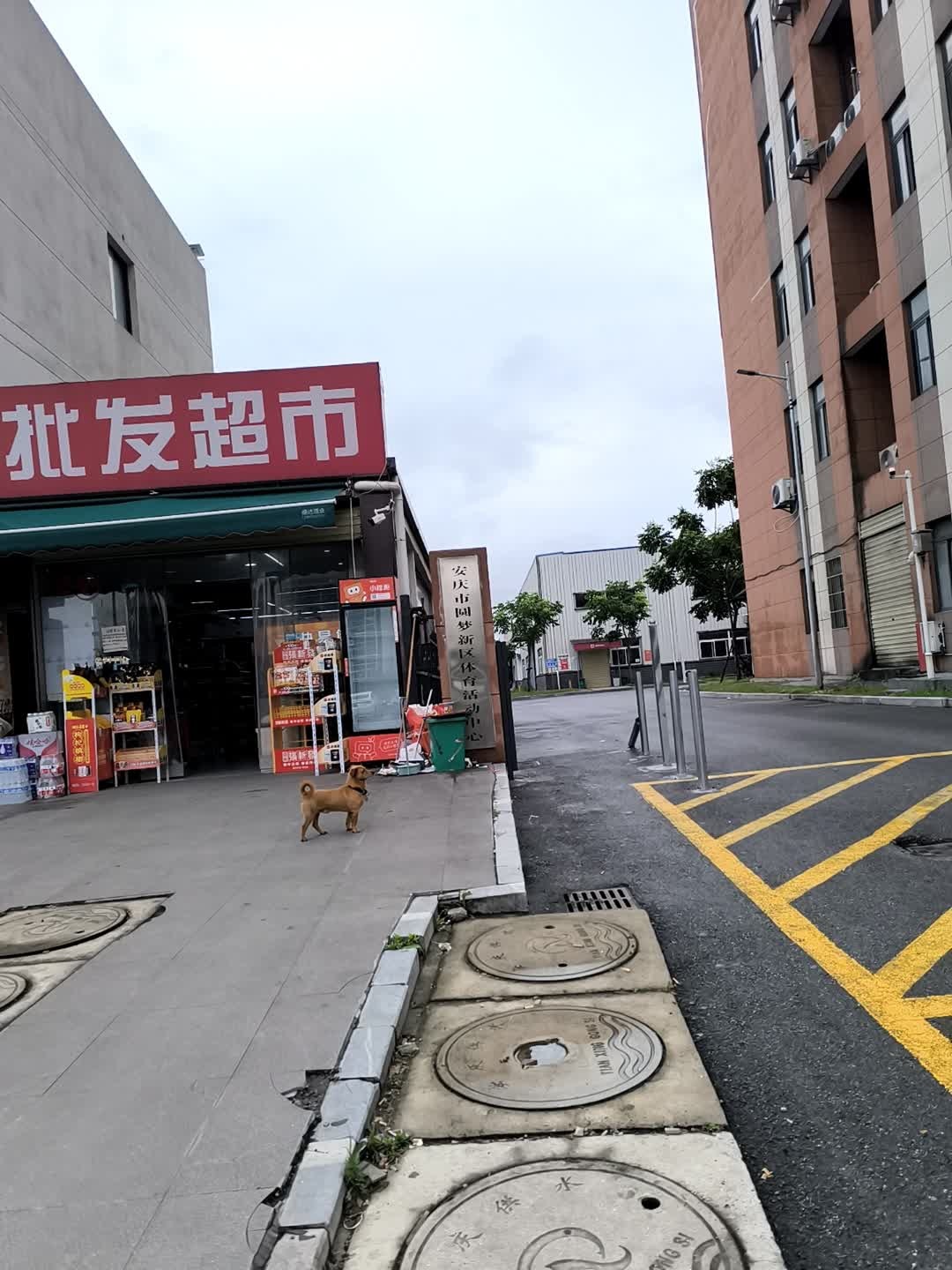 安庆市圆梦新区体育活动中心