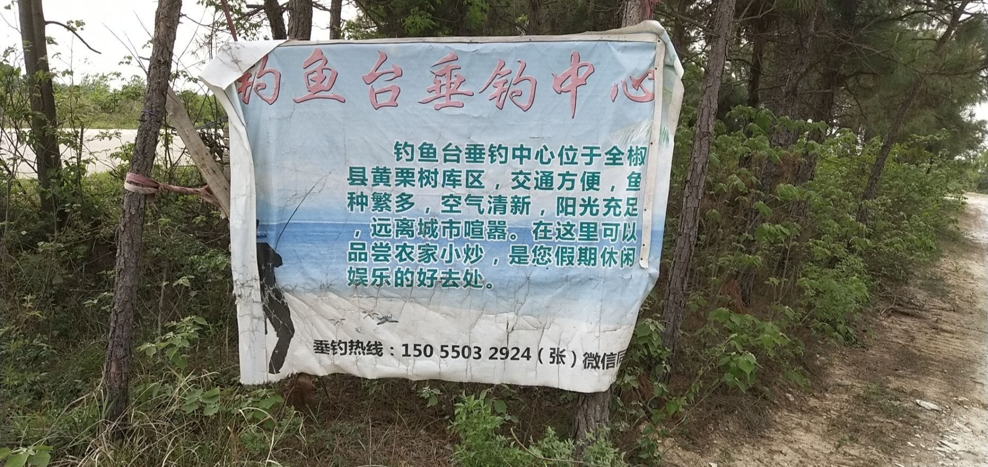 钓鱼台垂钓中心