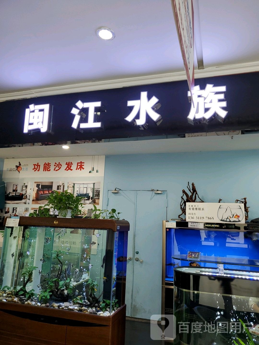 闽江水族(石岐优越城百货店)