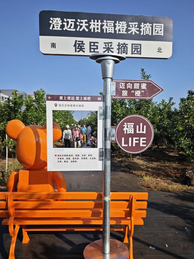 沃柑福橙采摘园侯臣采摘园