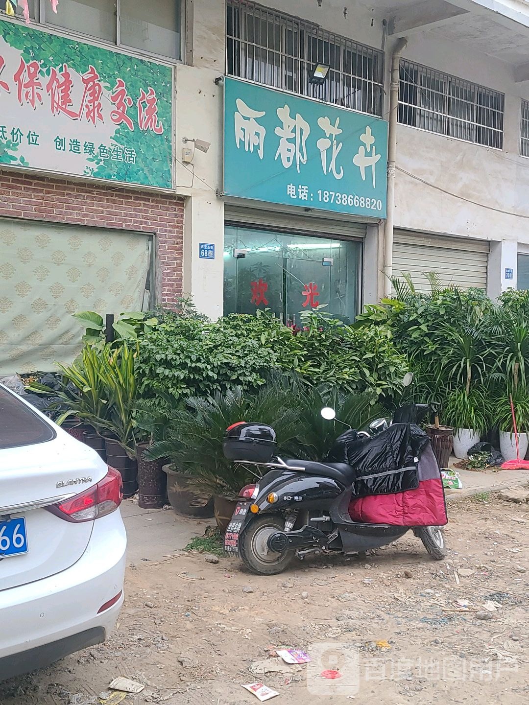 雨都花卉