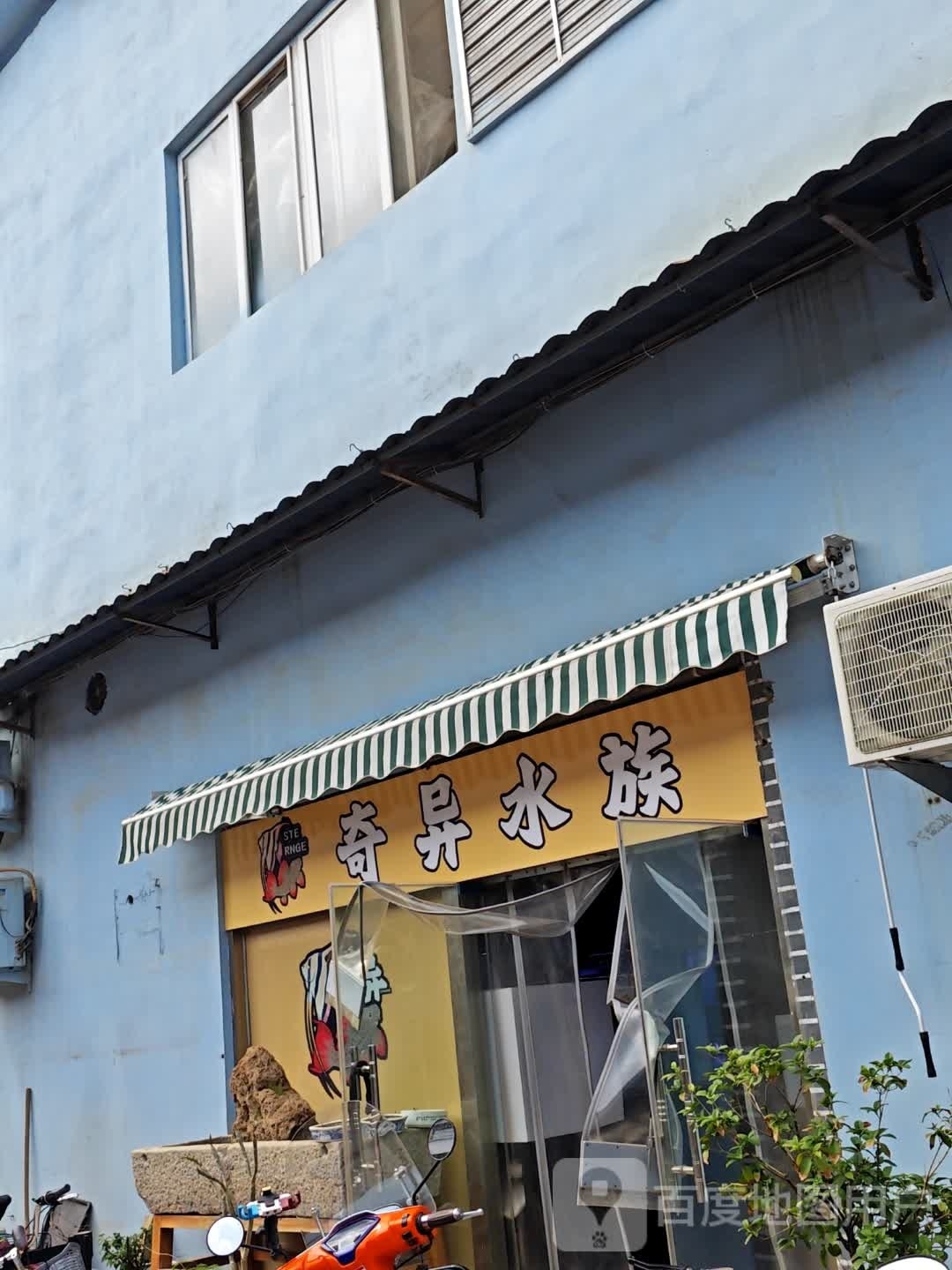奇异水族河豚雷龙