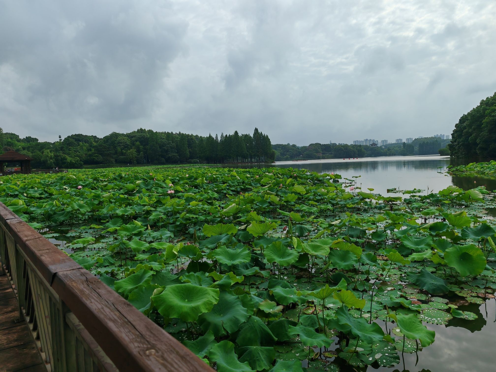 衡阳市南湖公园