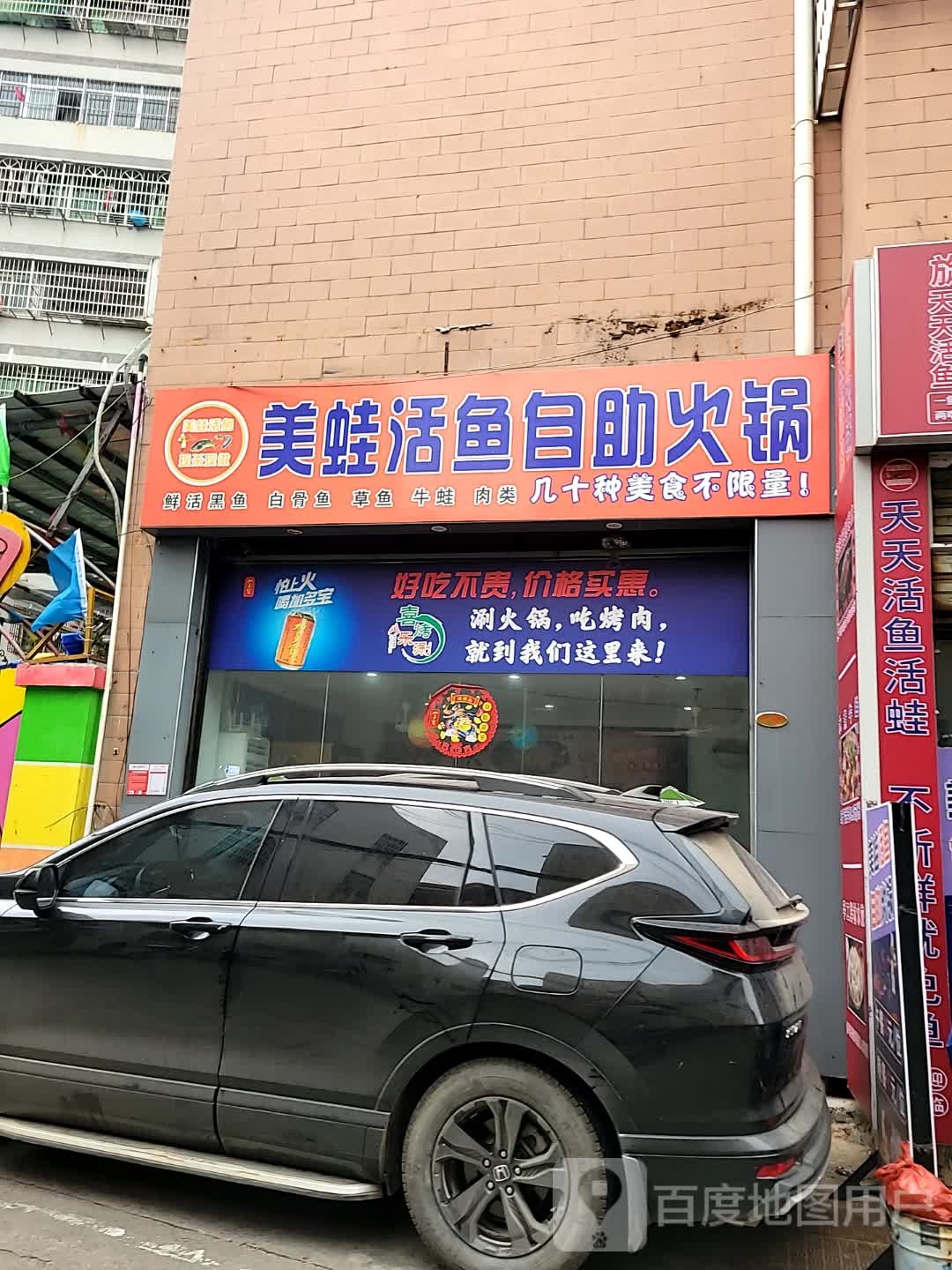 美蛙活鱼自助火锅