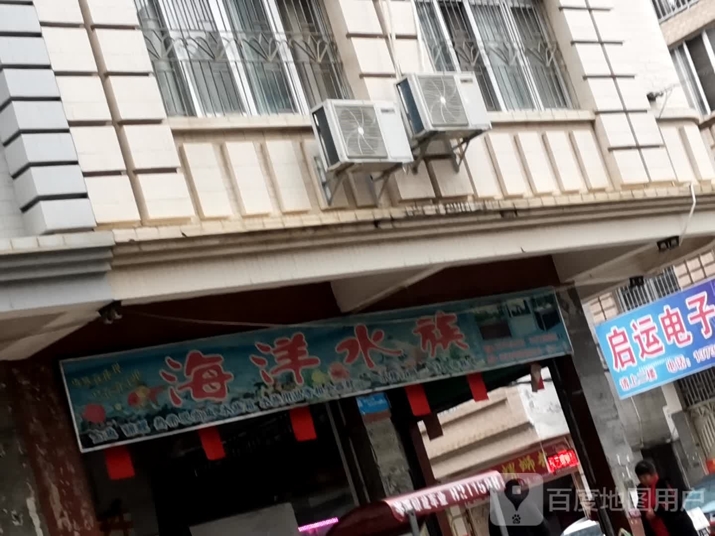 海洋水族
