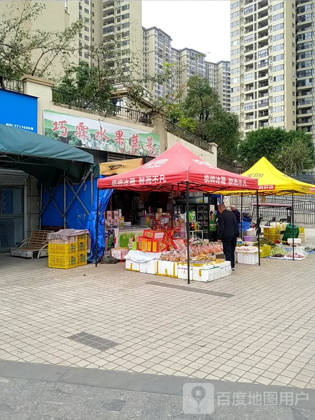 巧霖水果蔬菜(龙光·阳光海岸4期店)