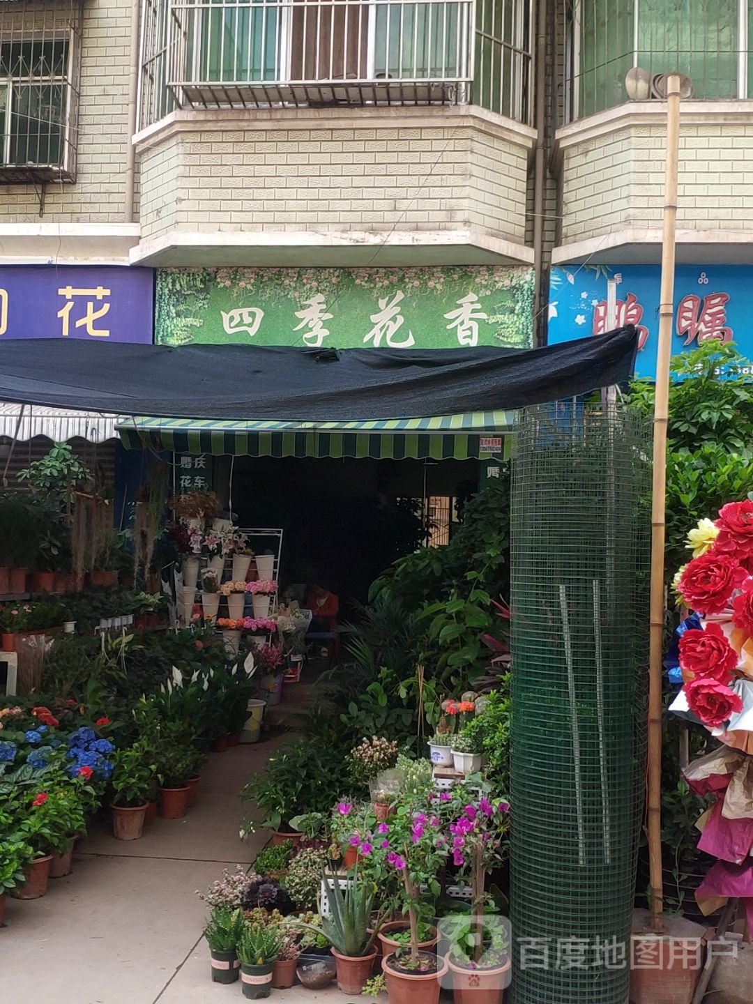 四季花香(吉祥路店)