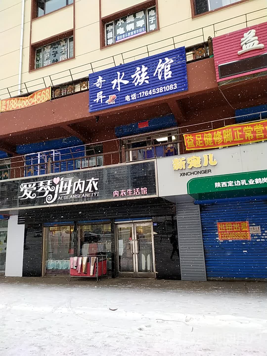 奇异水族馆