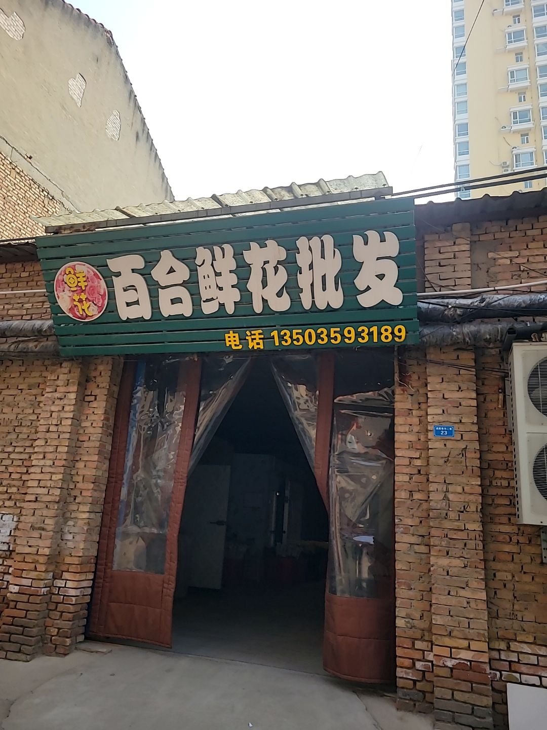 百合鲜花批发
