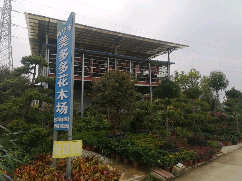 南宁市美多多花木场(总店)