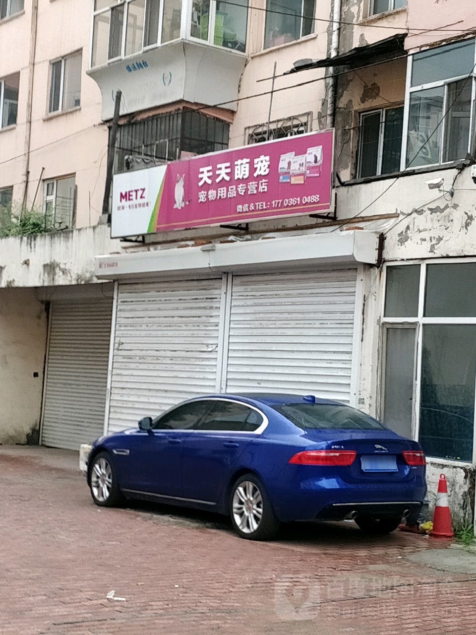 天天萌猫宠物店