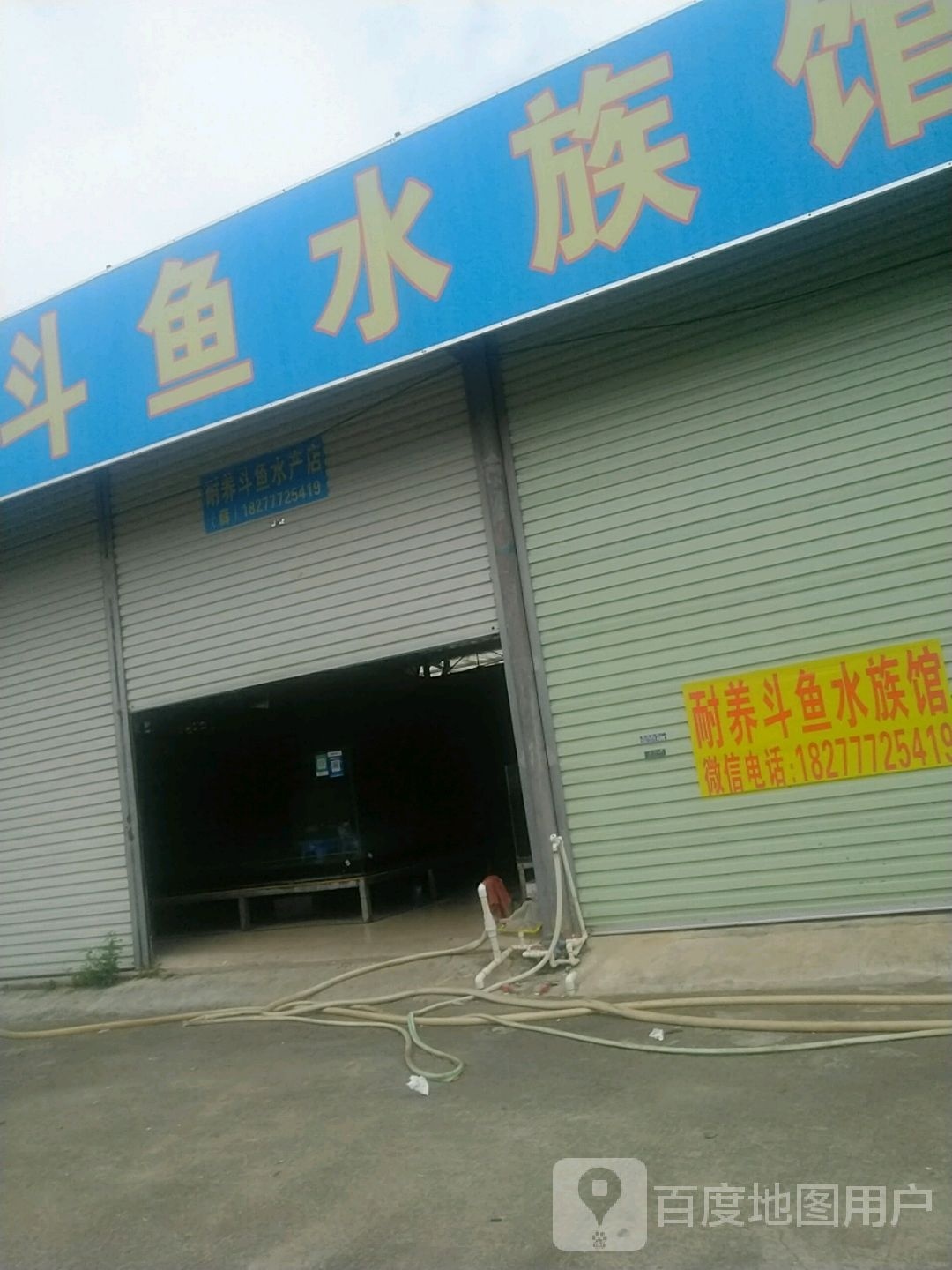 耐养斗鱼水族馆