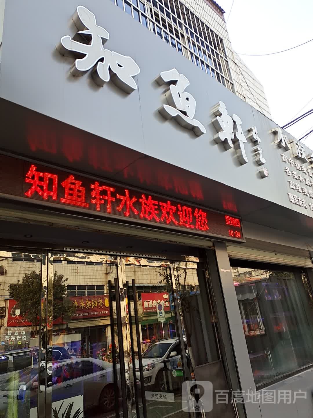 知鱼轩