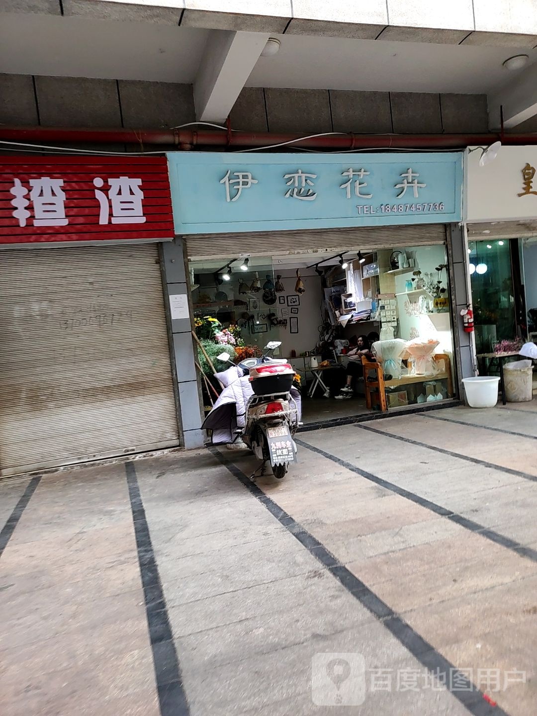 伊恋花卉
