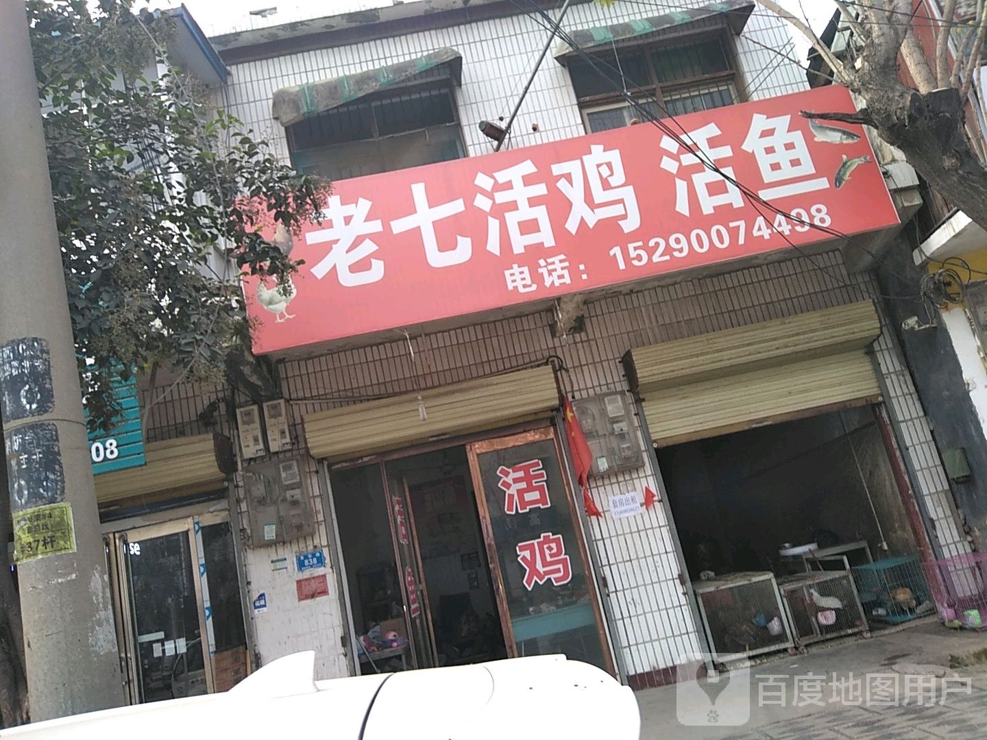 西华县活鸡活鱼(青华路店)