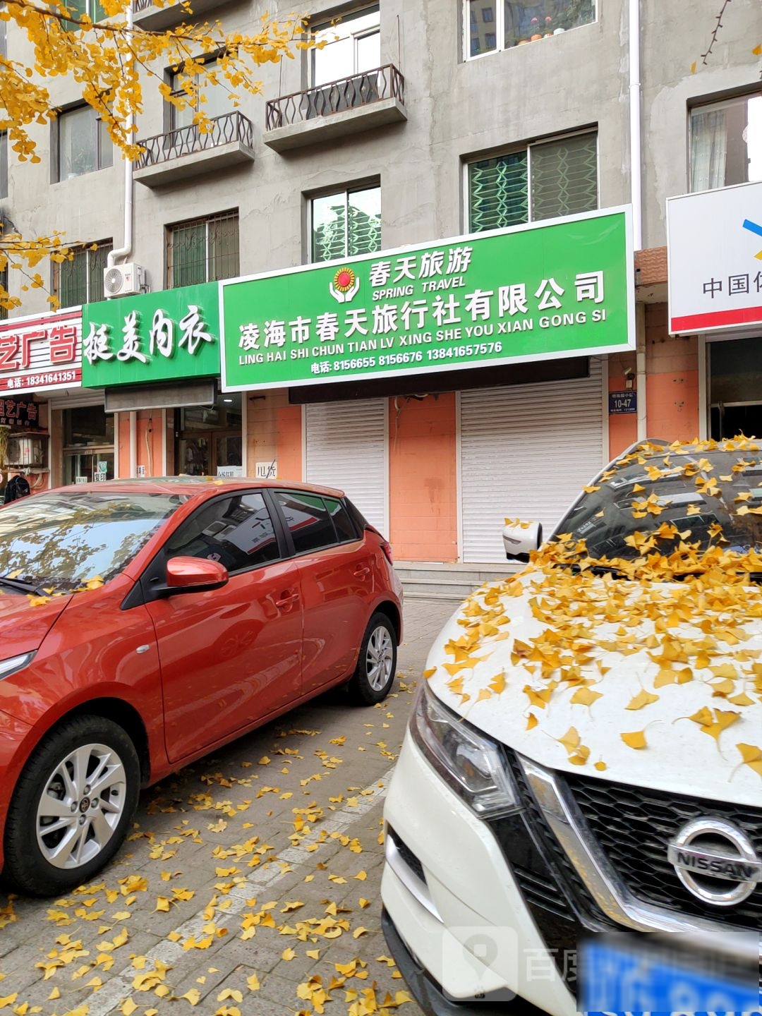 挺婷内衣(振兴路店)