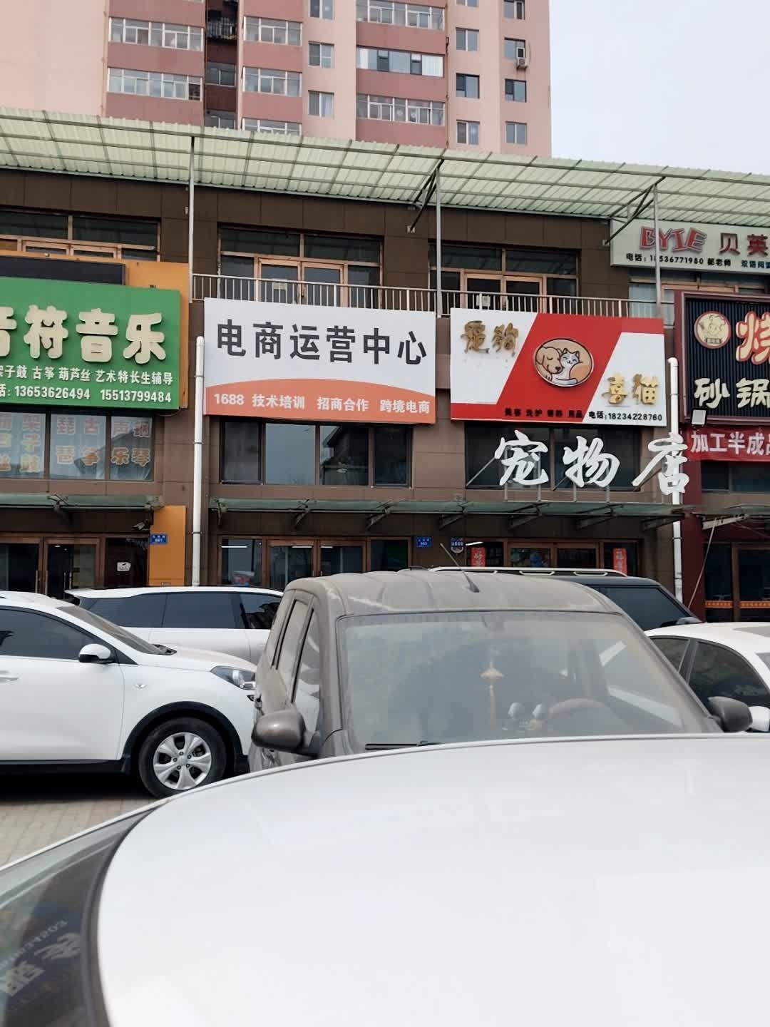 宠狗喜猫宠物店