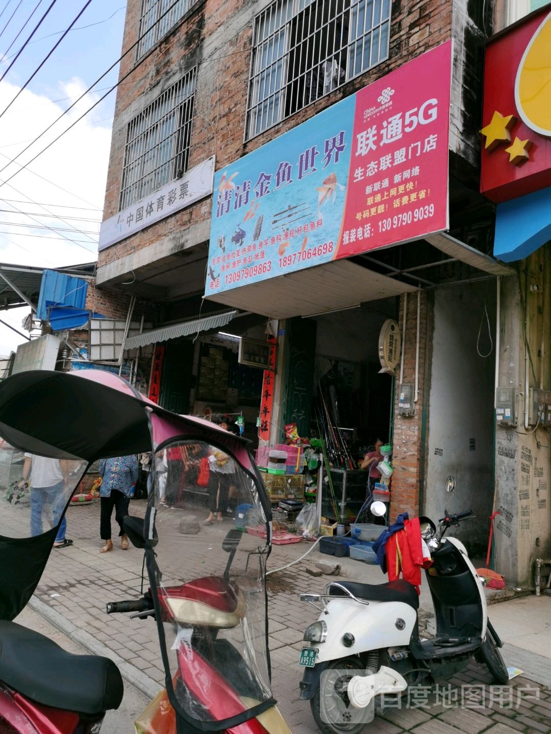 清清金鱼世界