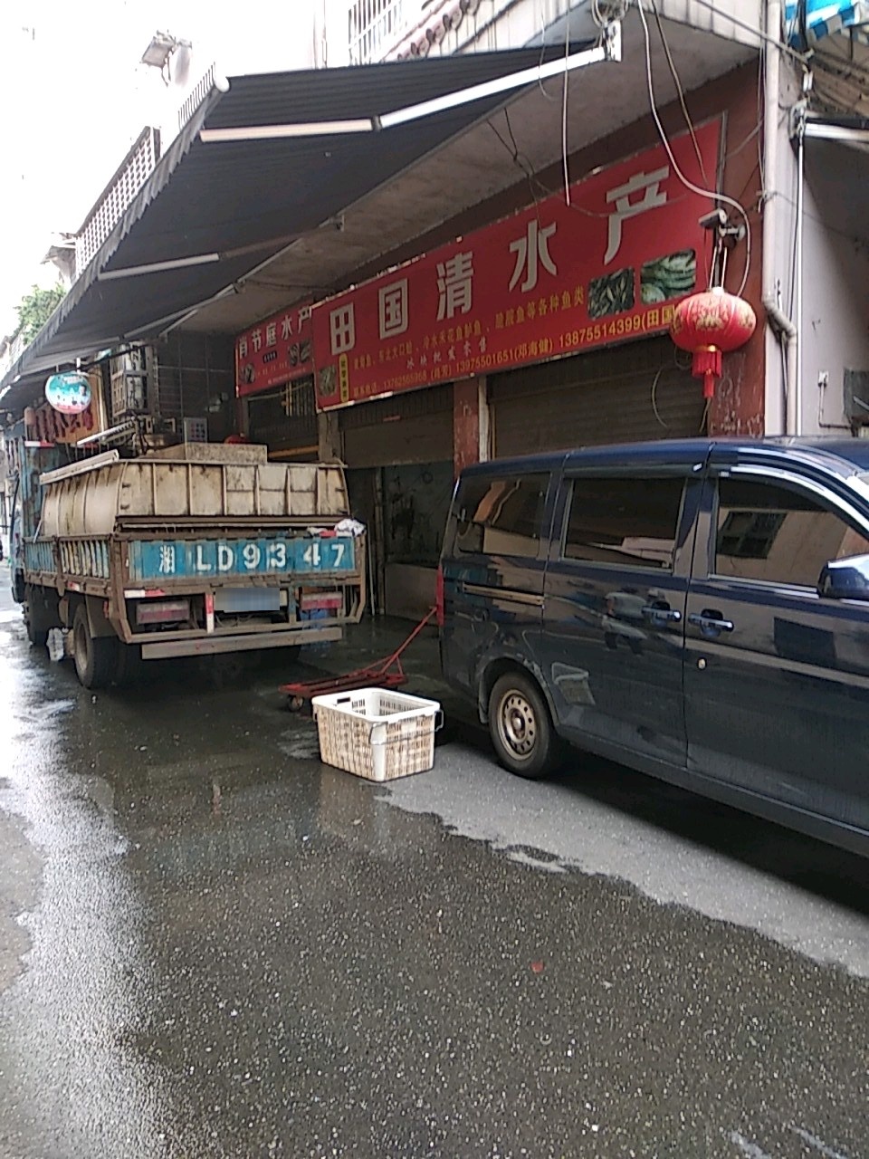 田国金水产
