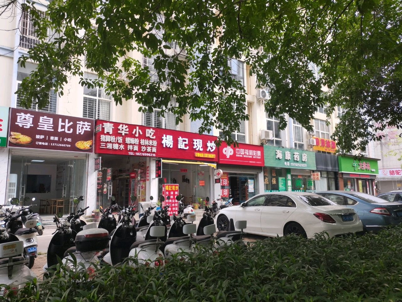 尊皇比萨(北海店)