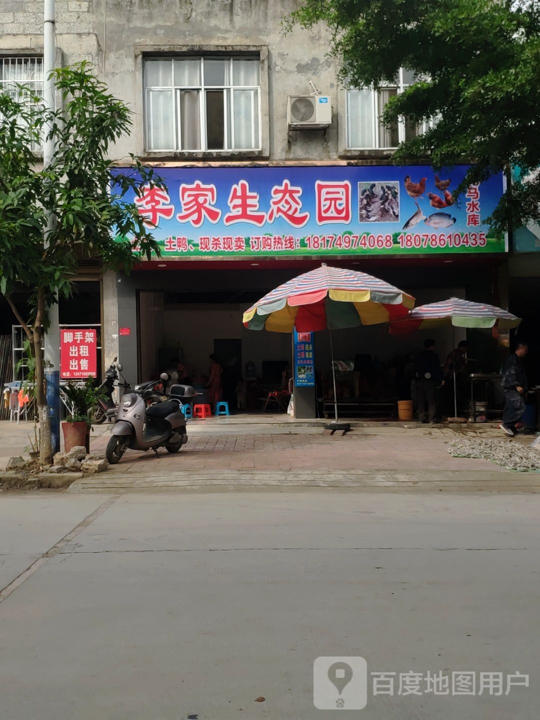 李家村生土猪土鸡