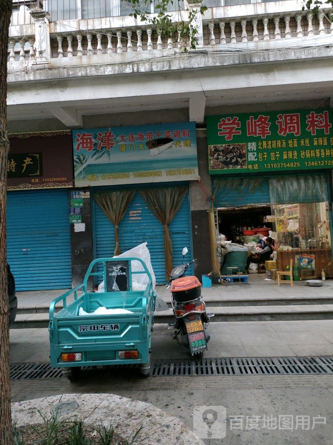 海洋大连海带干菜调料