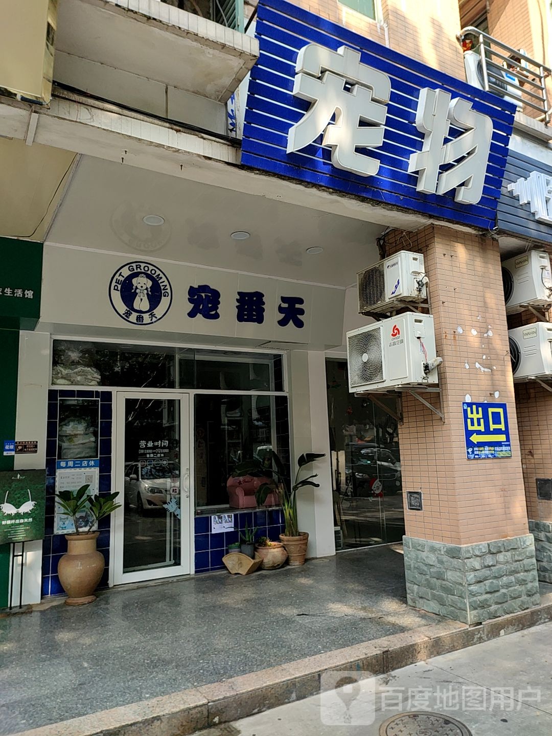 宠番天宠物店