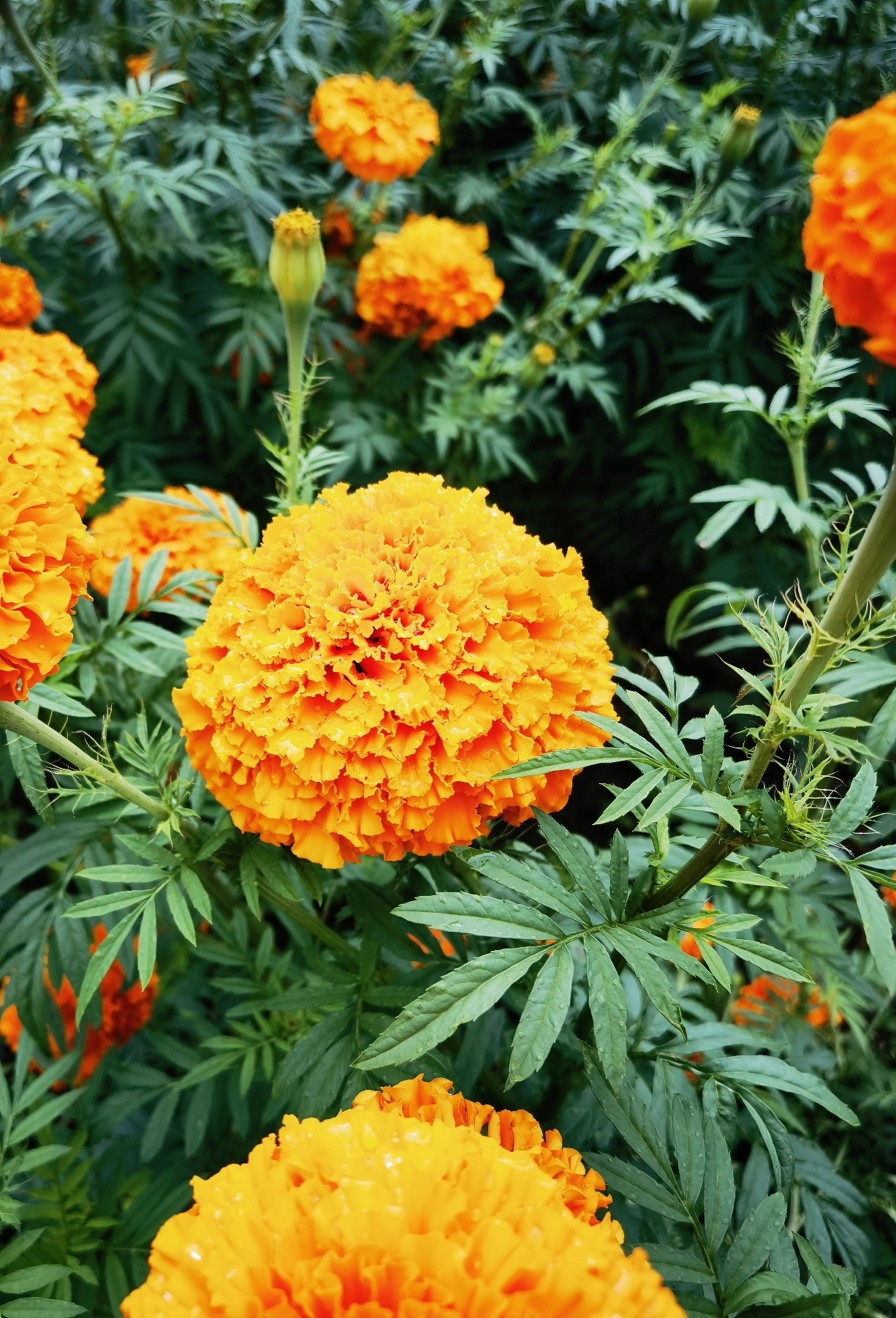 哒啦仙谷旅游景区