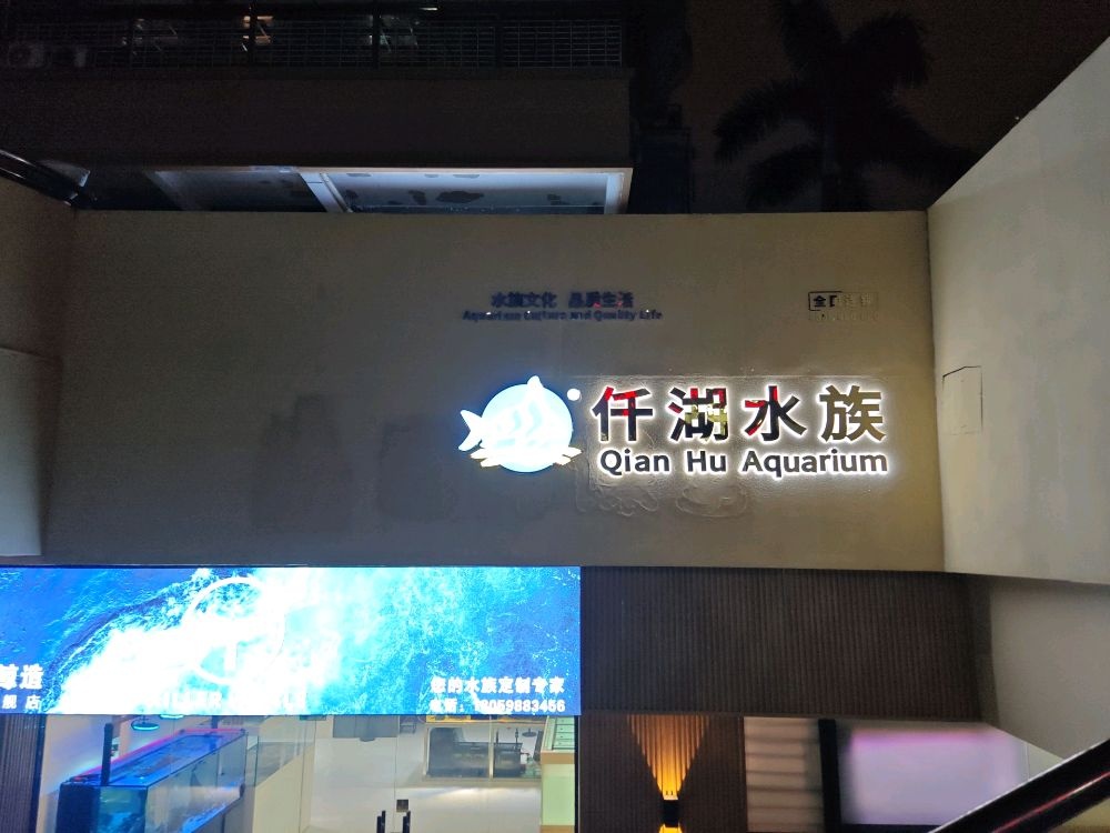 仟湖水族厦门旗舰店(台湾街)