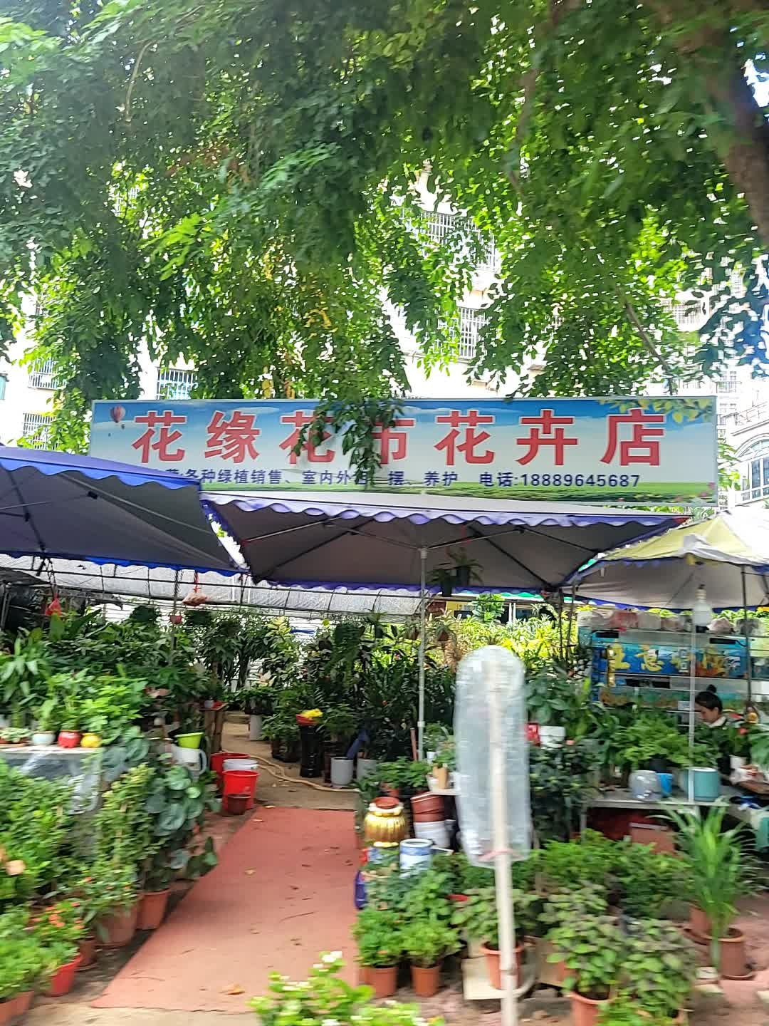 花缘花市花卉店