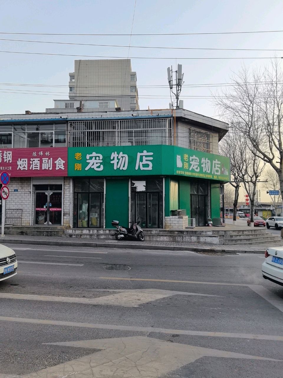 老刚宠物店