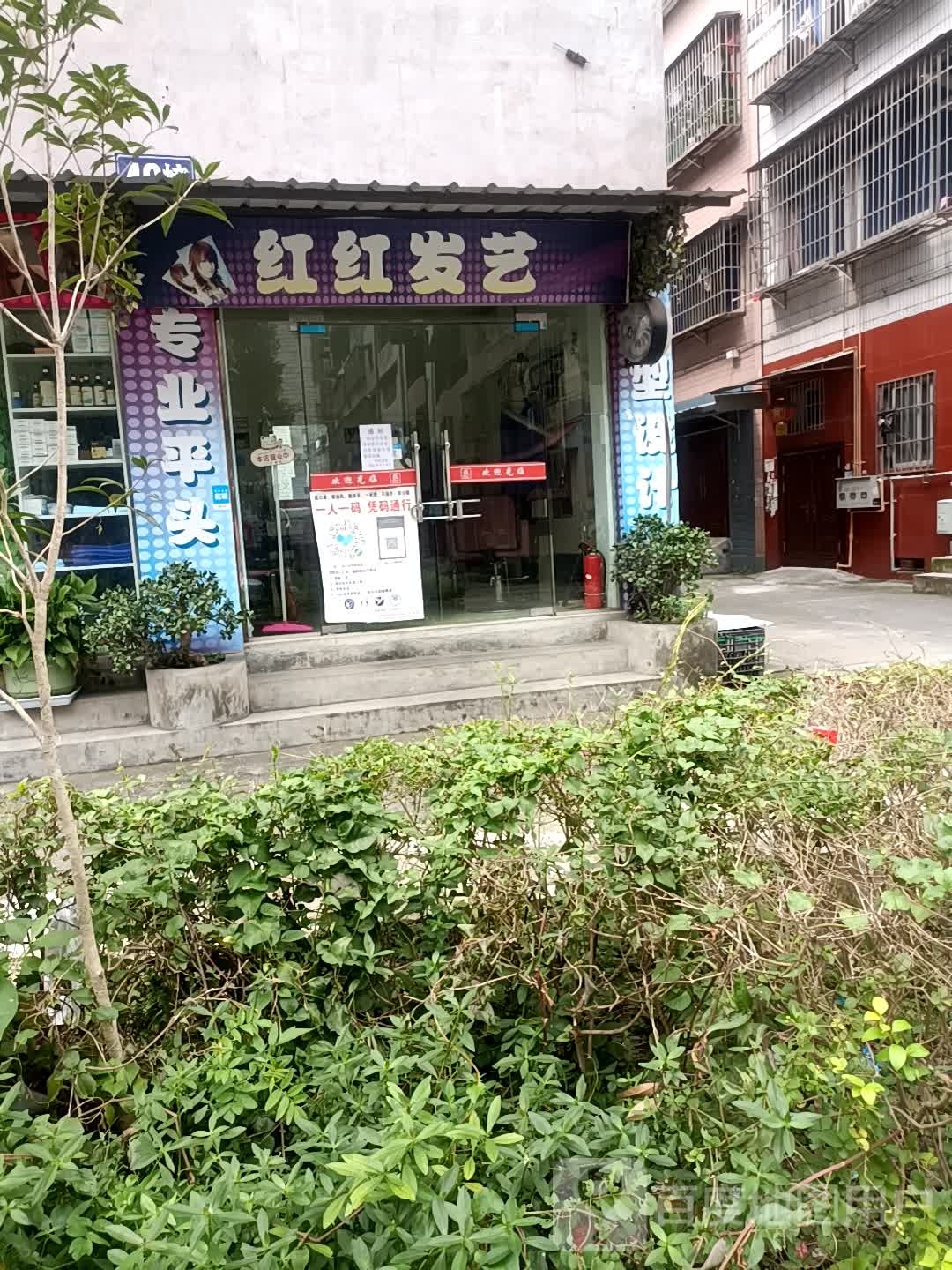 红红发艺