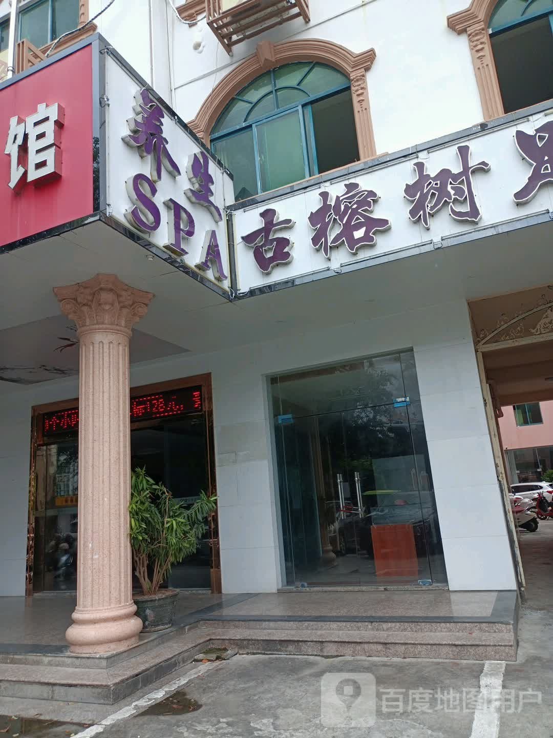 古榕树足道