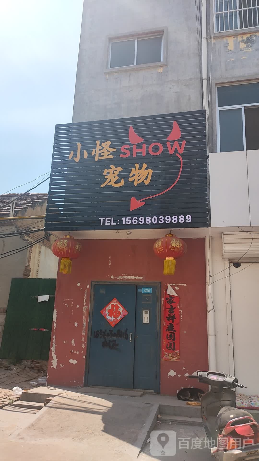 小怪SHOW宠物