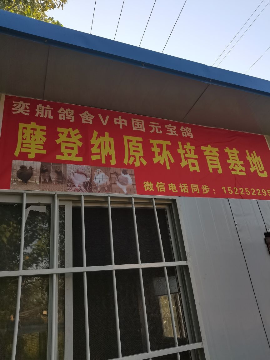 商丘市睢县奕航鸽舍