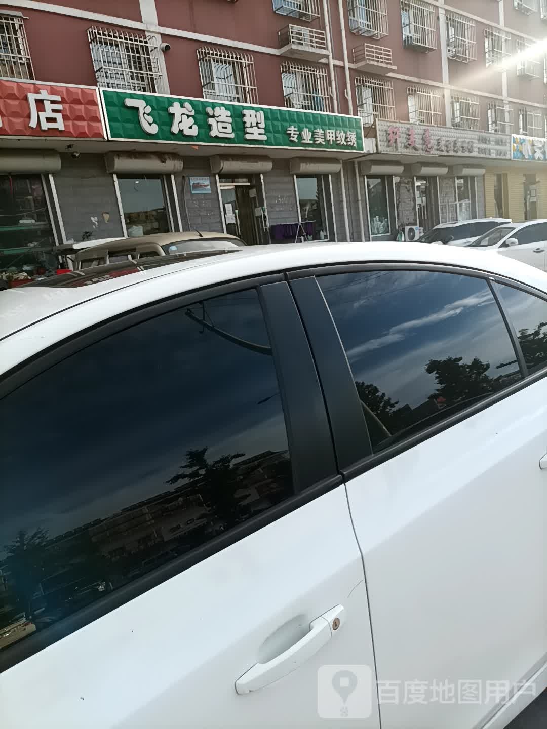 飞龙造型