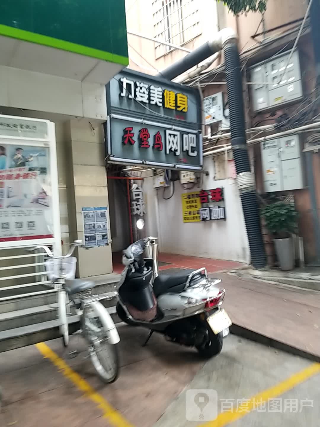 天堂鸟网(同新路店)