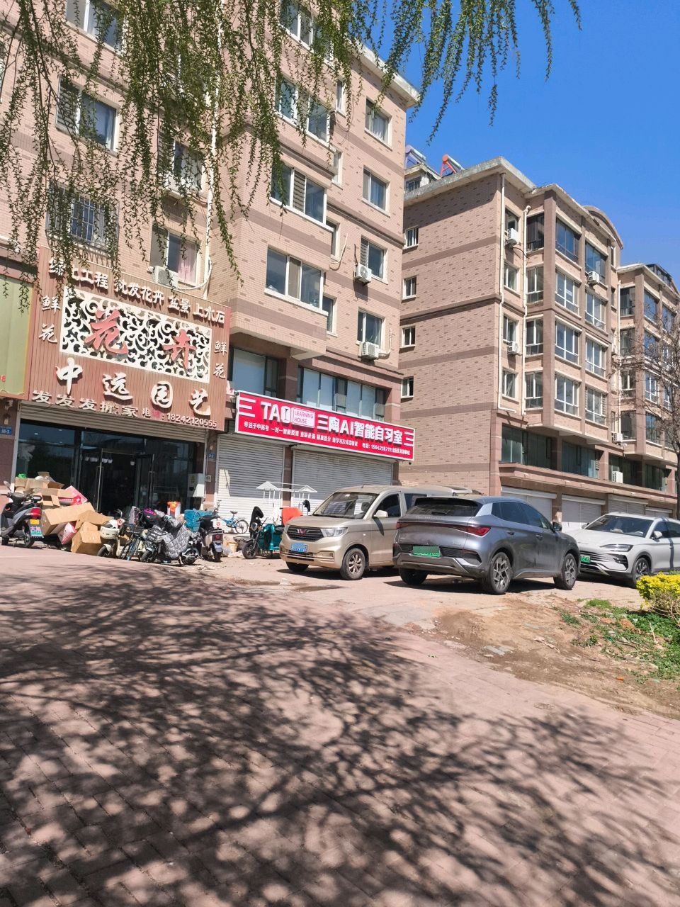 中远园艺(文祥豪府西区店)